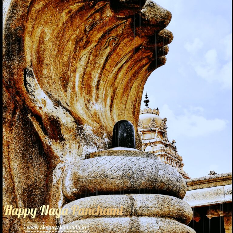 Why Should Indians Celebrate Naga Panchami | Akshaya Kannada