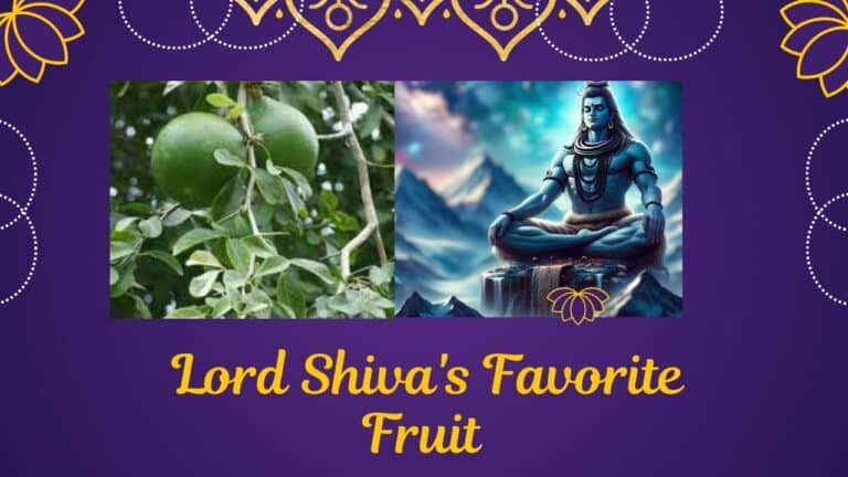 Lord Shiva’s Favorite Fruit and The Significance of the Bilva Fruit in Hinduism