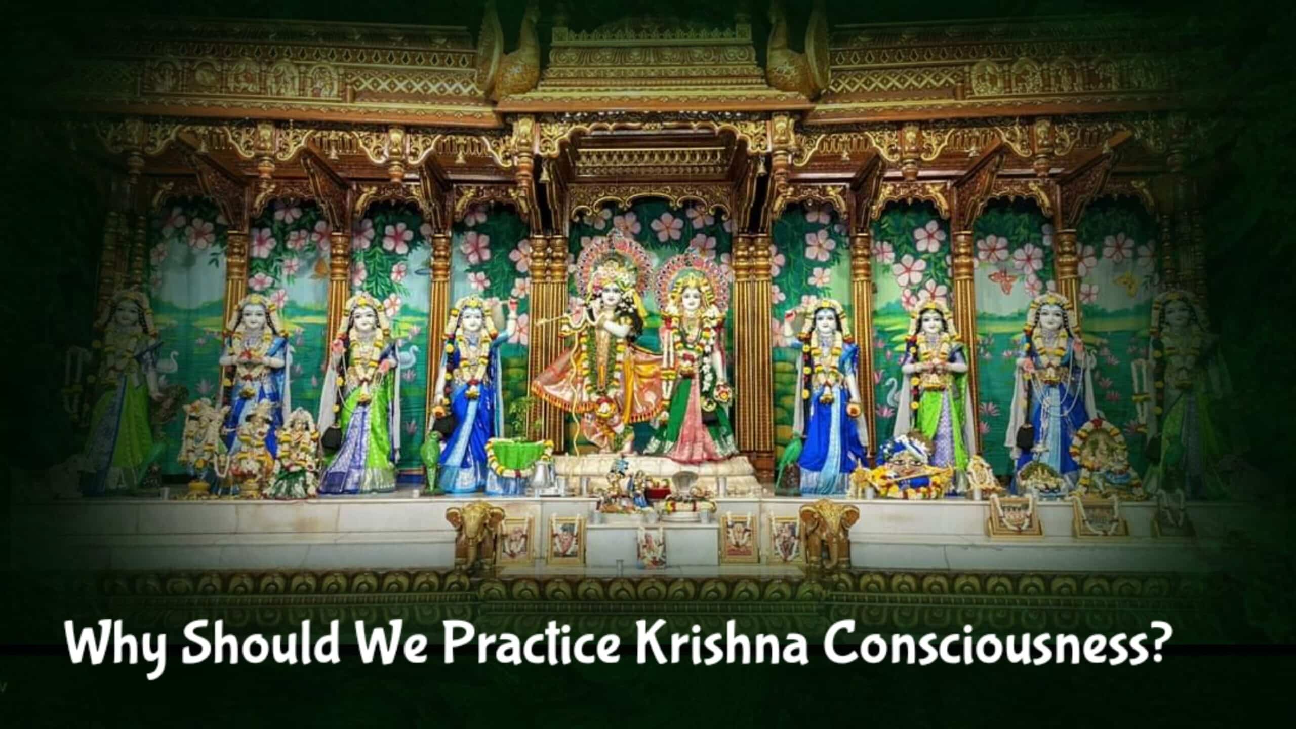 Why Should We Practice Krishna Consciousness?